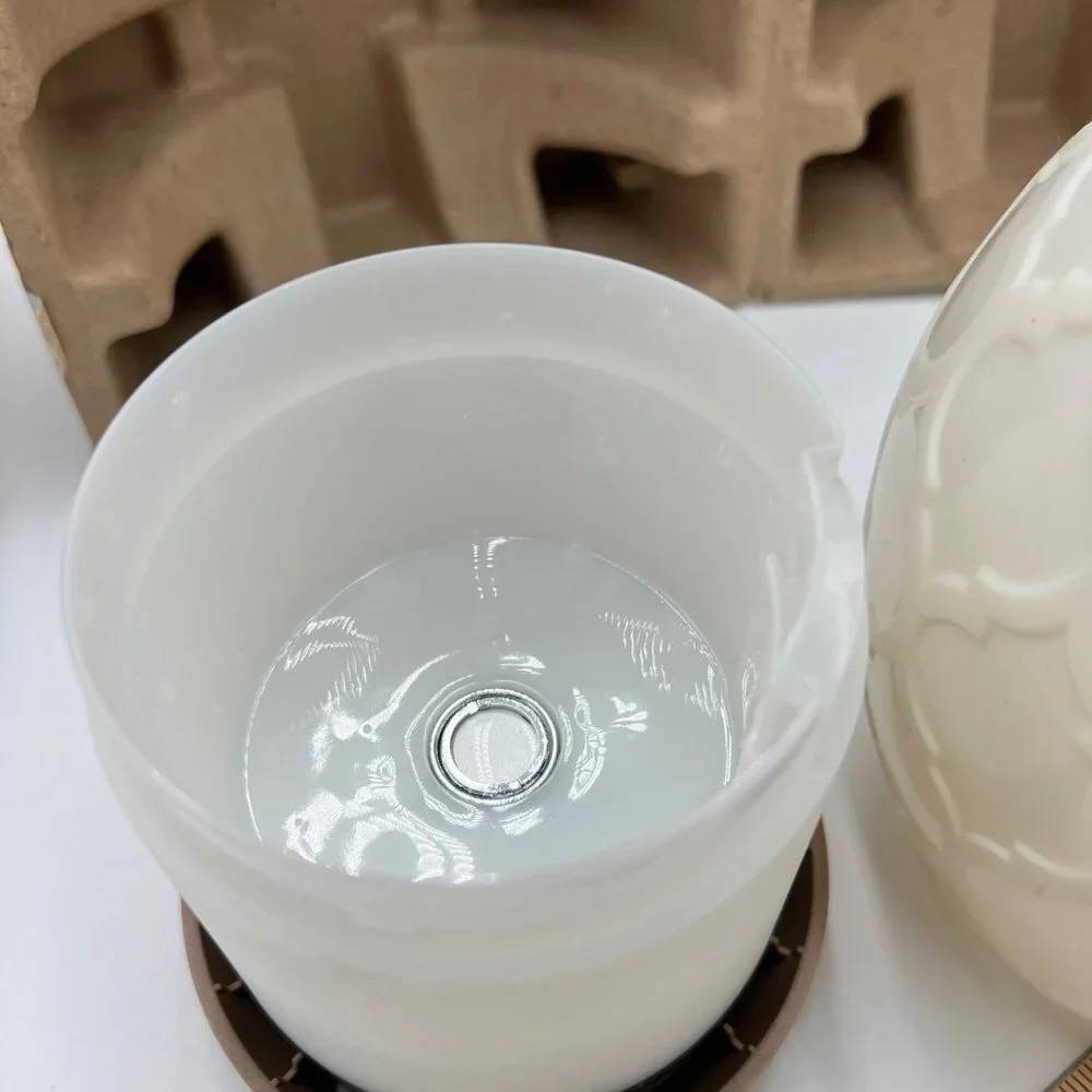 Ultrasonic Young Living Desert Mist Diffuser